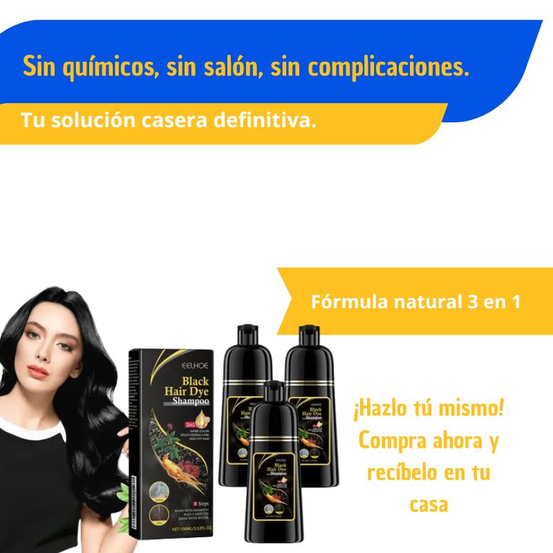Shampoo Black Hair Dye 3 en 1