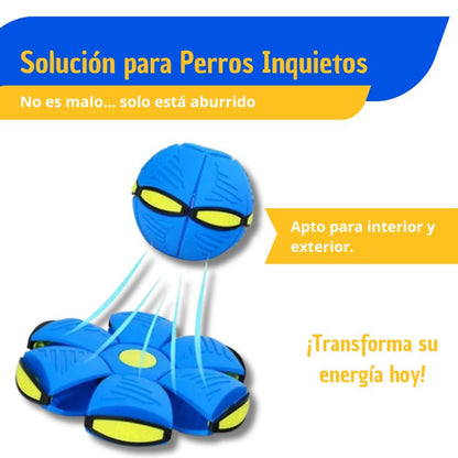 Juguete volador para perros