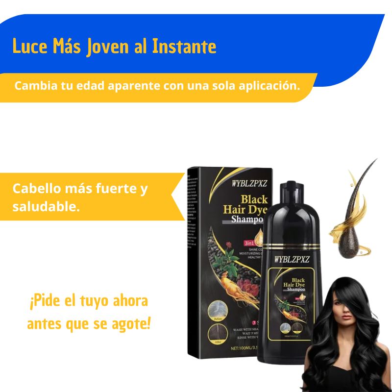 Shampoo Black Hair Dye 3 en 1