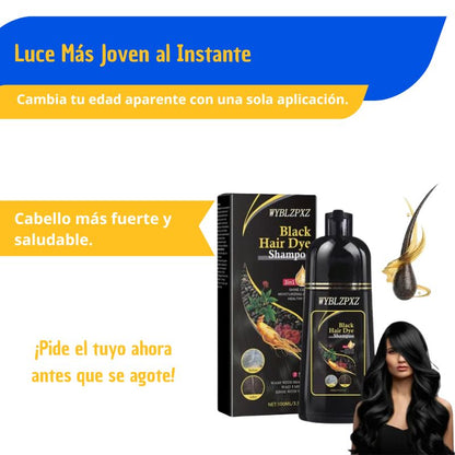 Shampoo Black Hair Dye 3 en 1