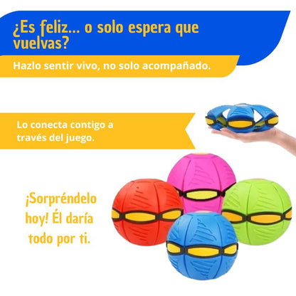 Juguete volador para perros