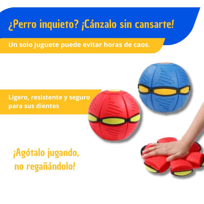 Juguete volador para perros